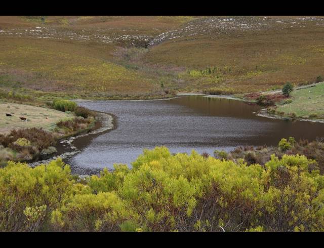 911HA FARM FOR SALE IN RIVERSDALE RURAL